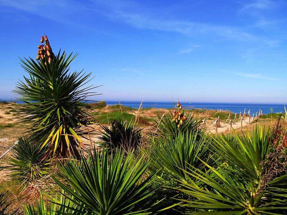 Camping Los Llanos Denia Exterior photo